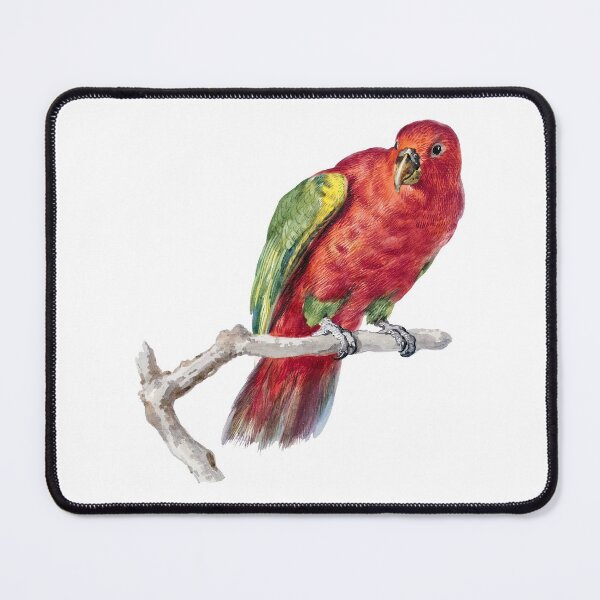 Item preview, Real Birds. Real Art. designed and sold by booboobunn.