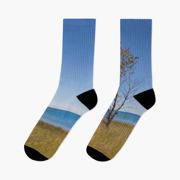 Item preview, Single Tree, Lake Michigan. designed and sold by Dave Hare Photography.