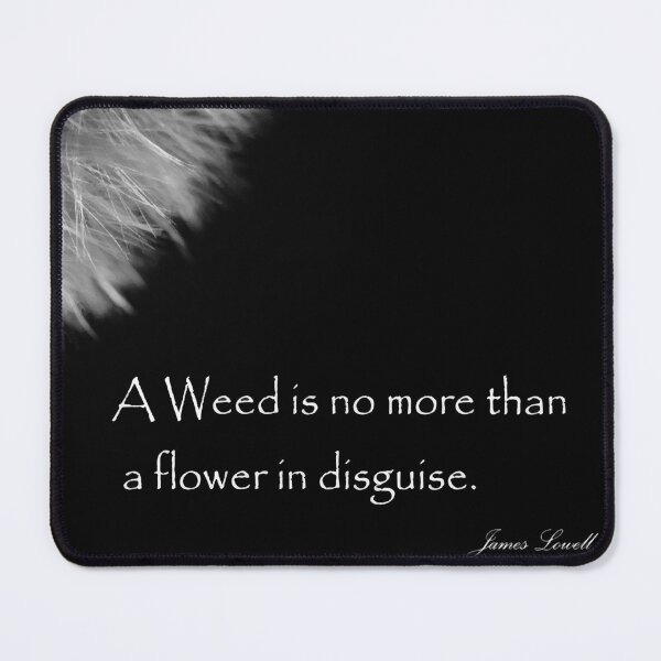 Item preview, Fluffy Dandelion Weed Seed Head with Quote in Black and White designed and sold by Karen McFarland.