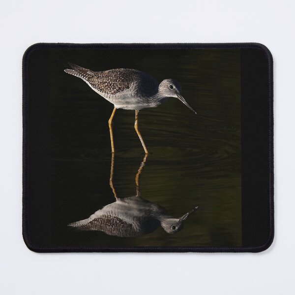 Item preview, Greater Yellowlegs Reflects designed and sold by James Cumming.