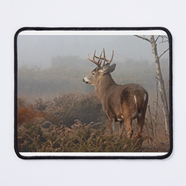 Item preview, Big Buck - White-tailed Deer designed and sold by James Cumming.