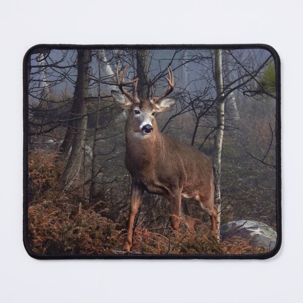Item preview, Buck on ridge - White-tailed Deer designed and sold by James Cumming.