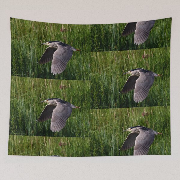 Item preview, Black-crowned Night heron designed and sold by James Cumming.
