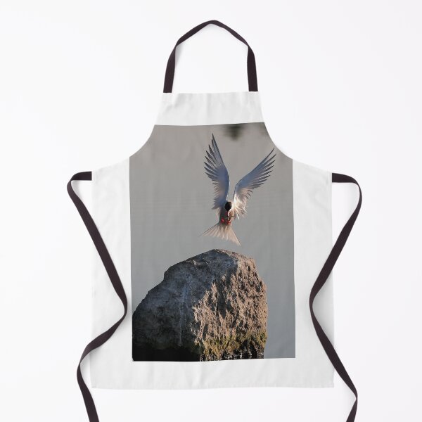 Item preview, Have fish, will land - Common Tern designed and sold by James Cumming.