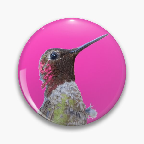 Anna's hummingbird close up Pin
