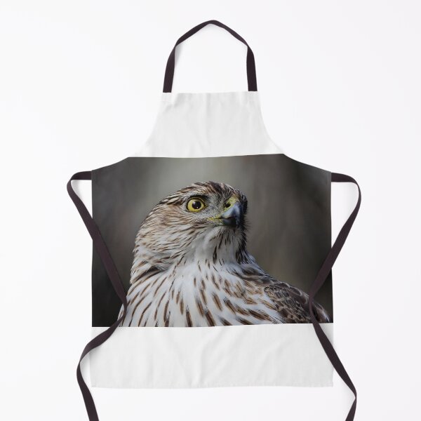 Item preview, Coopers Hawk designed and sold by James Cumming.