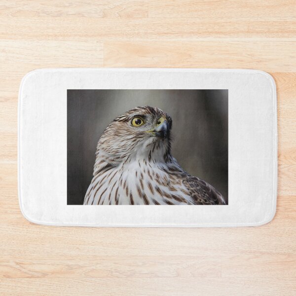 Item preview, Coopers Hawk designed and sold by James Cumming.