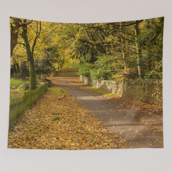 Item preview, Northumbrian Lane designed and sold by Dave Hare Photography.
