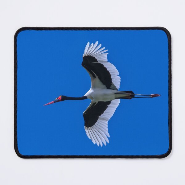 Item preview, Saddle-billed Stork designed and sold by Marc Scott-Parkin.