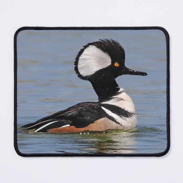 Item preview, Hooded Merganser designed and sold by James Cumming.