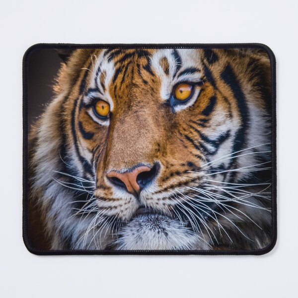 Item preview, Tiger designed and sold by Marc Scott-Parkin.