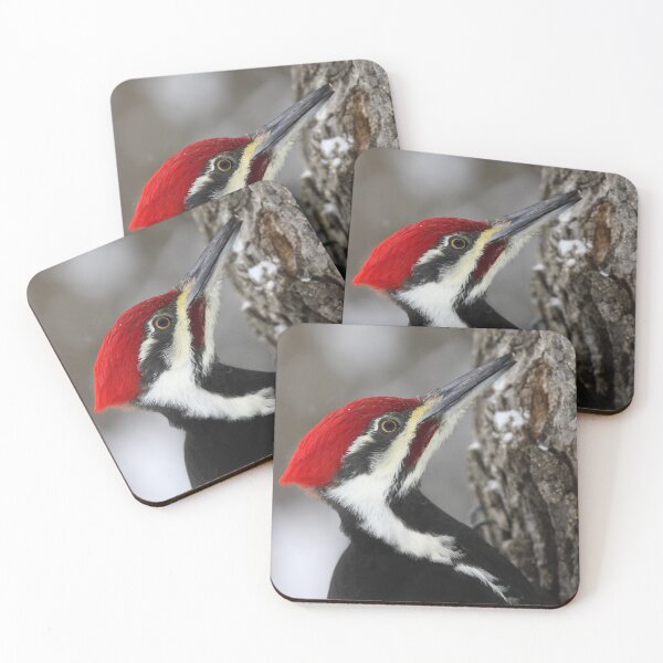 Item preview, Pileated Woodpecker designed and sold by James Cumming.
