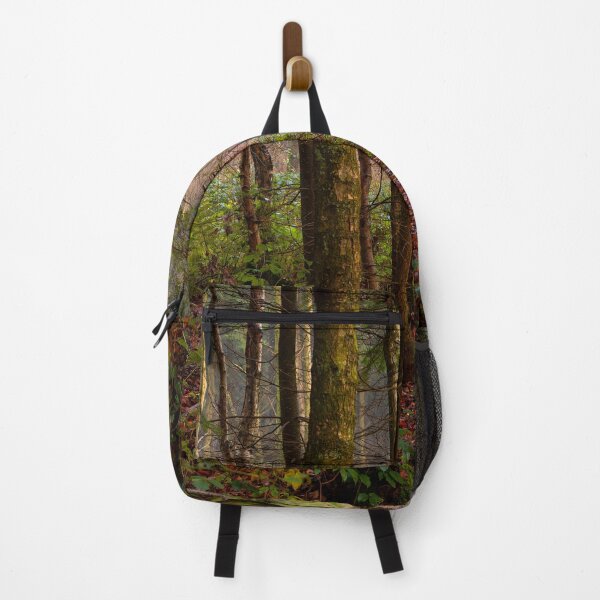 Item preview, Evening Woodland designed and sold by Dave Hare Photography.