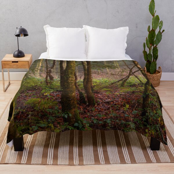Item preview, Evening Woodland designed and sold by Dave Hare Photography.