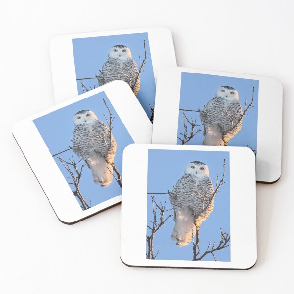 Item preview, Snowy Owl designed and sold by James Cumming.