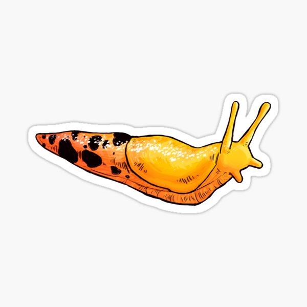 Banana Slug and Leopard Slug Sticker Pack 2 Vinyl Stickers  Etsy