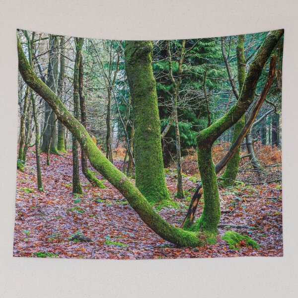 Item preview, Green Trees designed and sold by Dave Hare Photography.