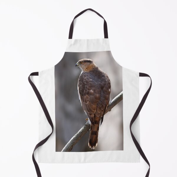 Item preview, Cooper's Hawk profile designed and sold by James Cumming.