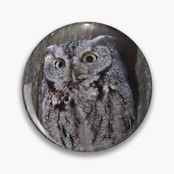 Item preview, Eastern Screech-Owl designed and sold by James Cumming.