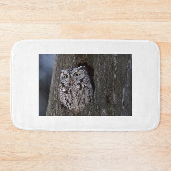 Item preview, Eastern Screech-Owl designed and sold by James Cumming.