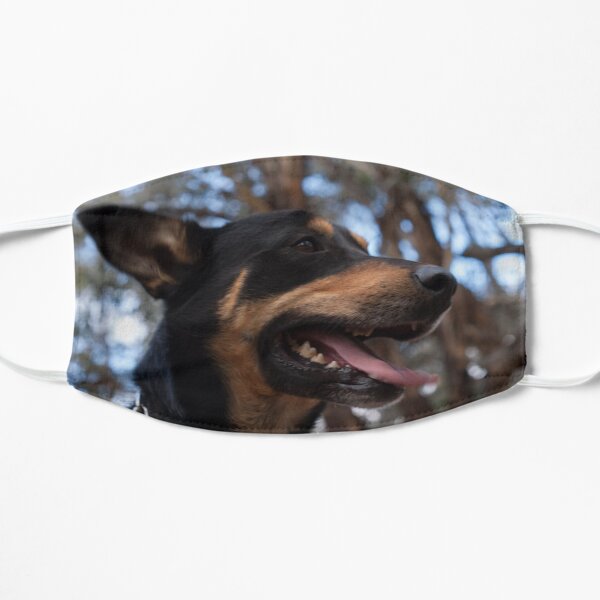 Max Flat Mask