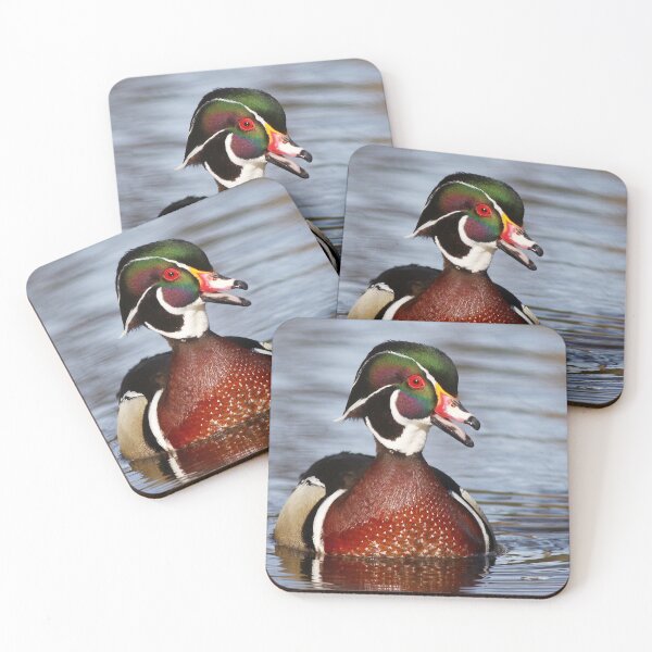 Item preview, Wood Duck smile designed and sold by James Cumming.