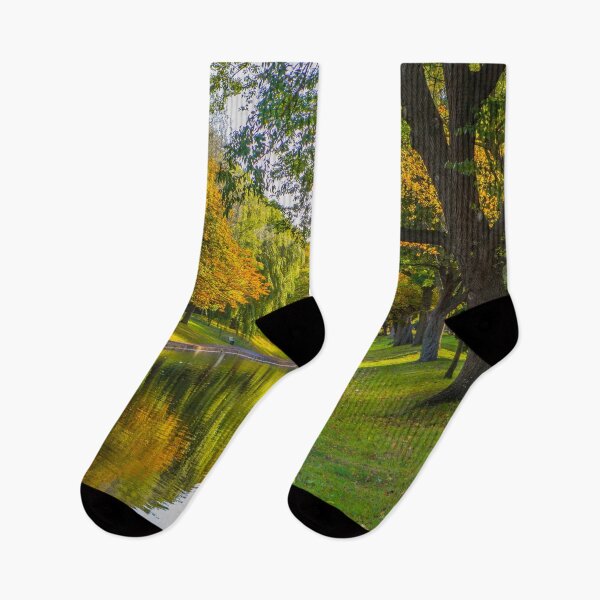 Item preview, Royal Military Canal designed and sold by Dave Hare Photography.