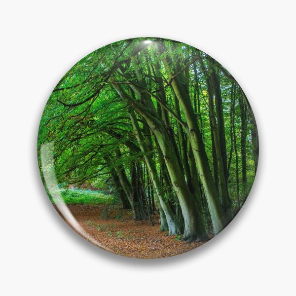 Item preview, Woodland Glade designed and sold by Dave Hare Photography.