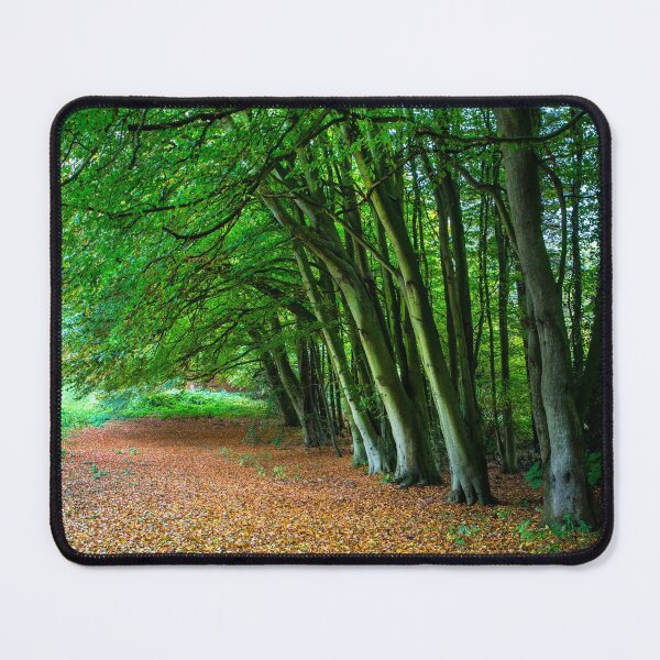 Item preview, Woodland Glade designed and sold by Dave Hare Photography.