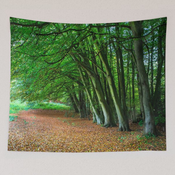 Item preview, Woodland Glade designed and sold by Dave Hare Photography.