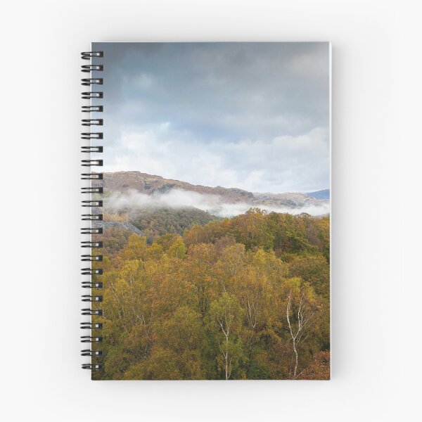 Item preview, Cumbrian Woodland designed and sold by Dave Hare Photography.