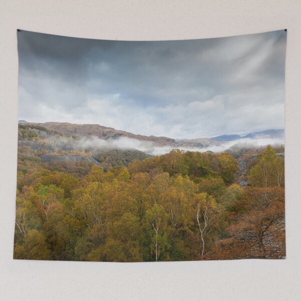Item preview, Cumbrian Woodland designed and sold by Dave Hare Photography.