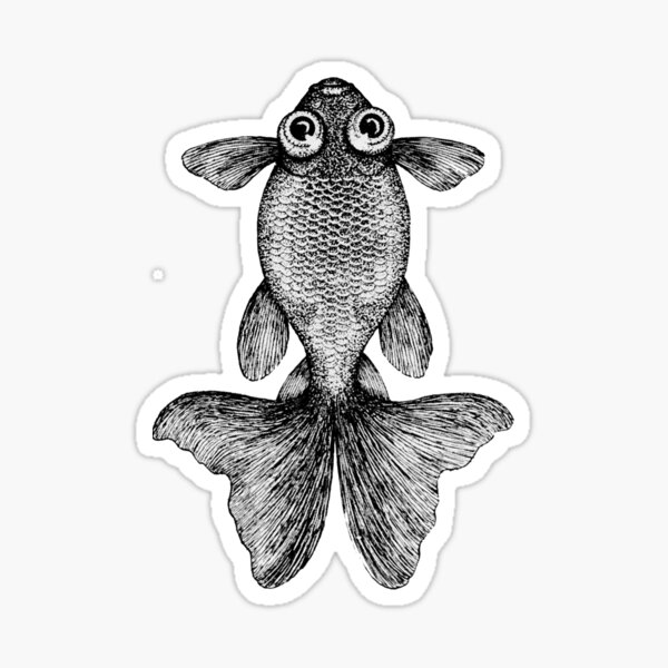 "Goldfish with Googly Eyes" Sticker for Sale by EdgarCurious Redbubble