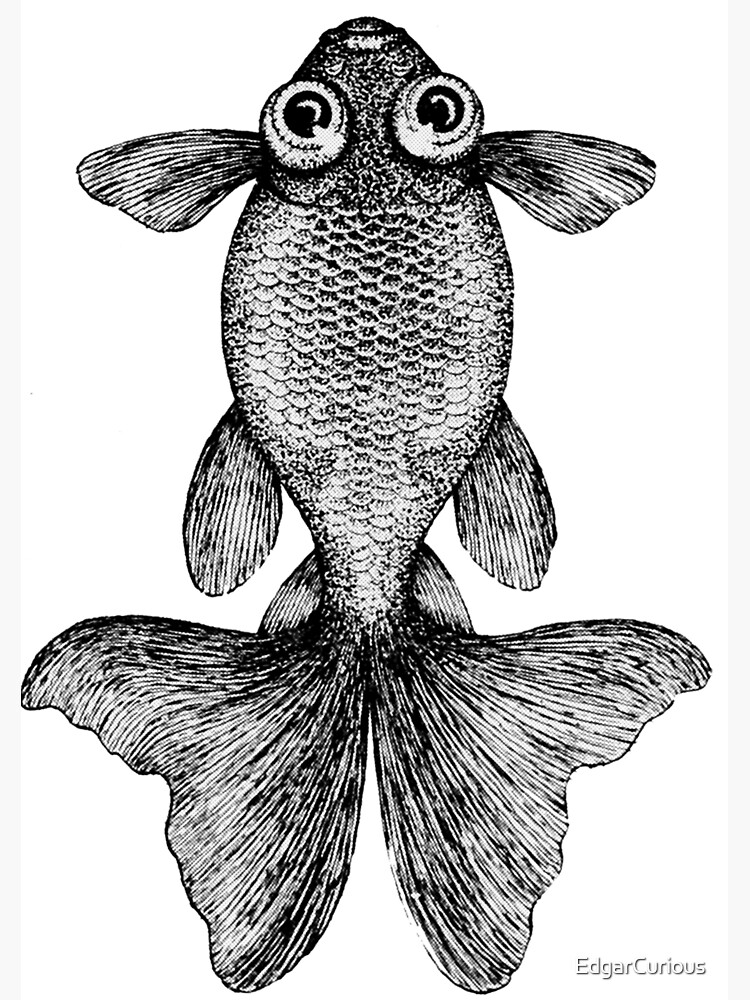 "Goldfish with Googly Eyes" Poster by EdgarCurious Redbubble