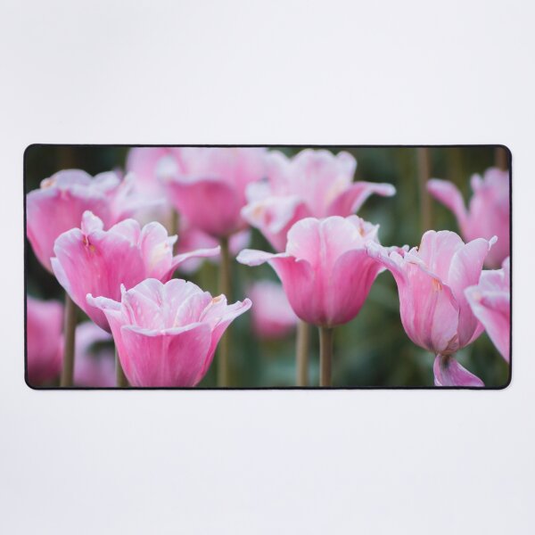 Item preview, Tulips blooming in Holland Michigan at the Tulip Time festival designed and sold by Michael Deemer.
