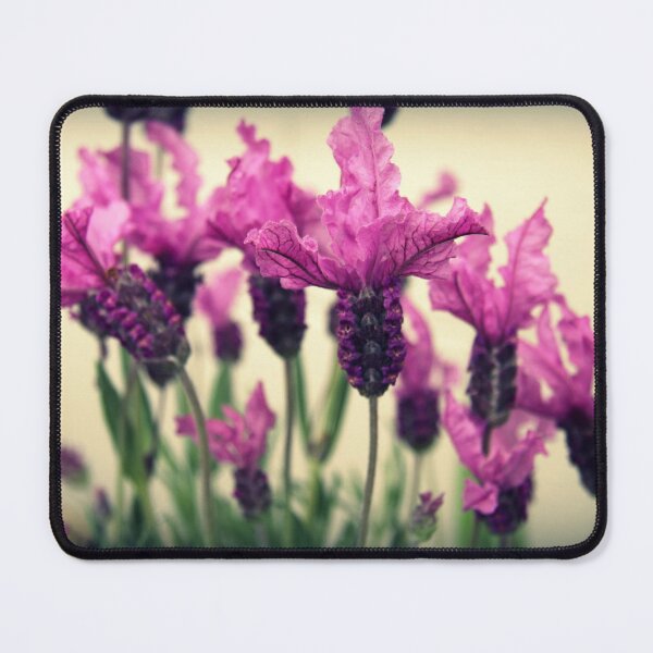 Item preview, Lavender designed and sold by coffeebean.