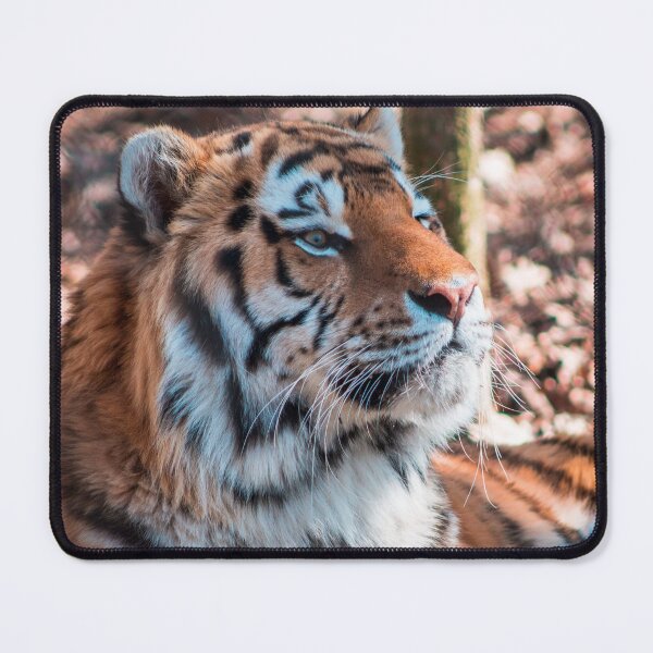 Item preview, Siberian Tiger at the Zoo designed and sold by Michael Deemer.