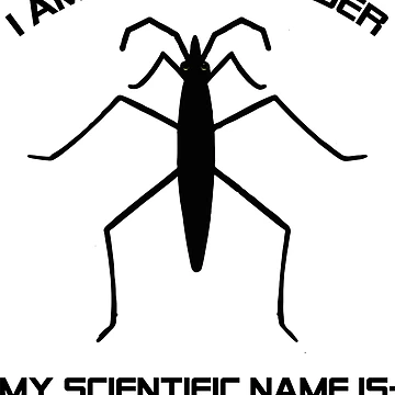 Artwork thumbnail, Water strider (Gerris sp.) by RimiDesign