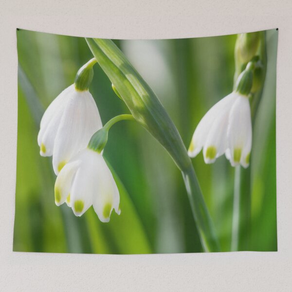 Item preview, Snowdrops designed and sold by Dave Hare Photography.