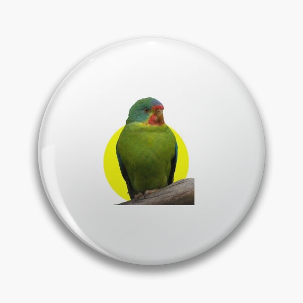 Item preview,  swift parrot designed and sold by Benchamart.