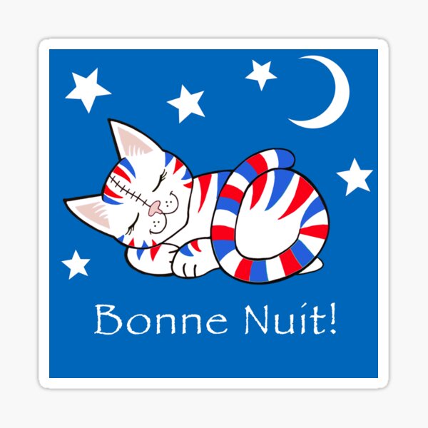 Bonne Nuit Stickers For Sale Redbubble