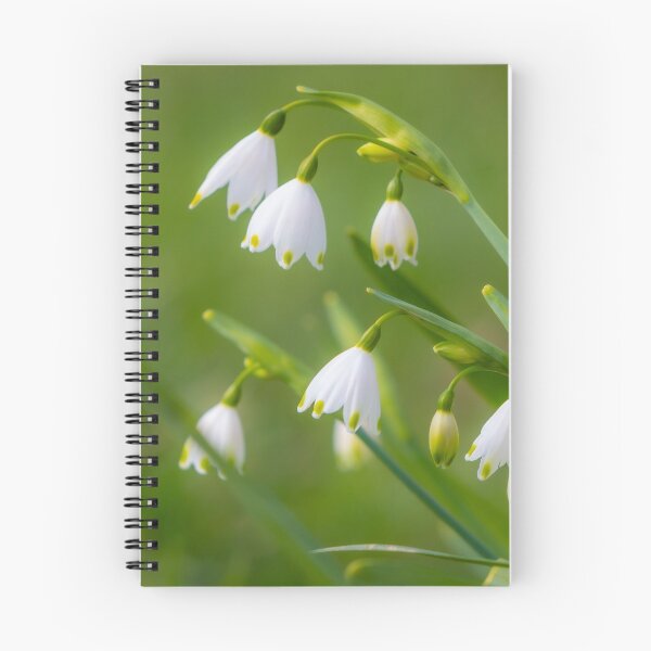 Item preview, Spring Snowdrops designed and sold by Dave Hare Photography.