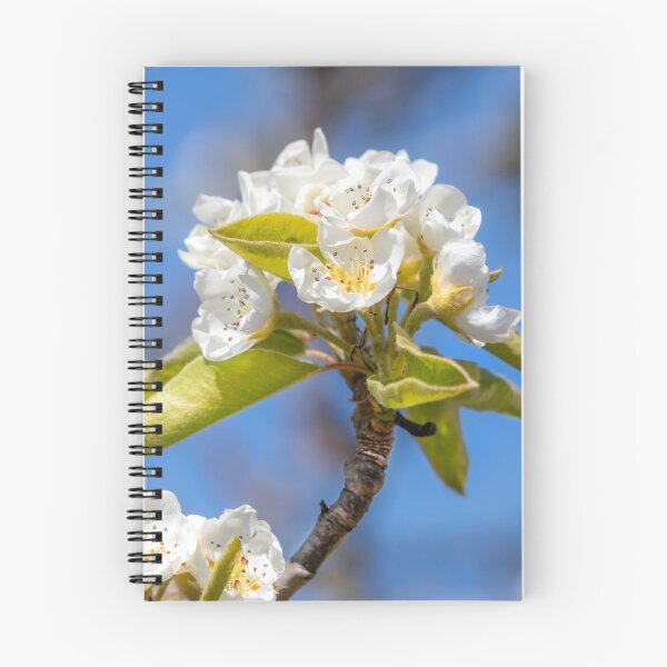 Item preview, White Spring Blossom designed and sold by Dave Hare Photography.