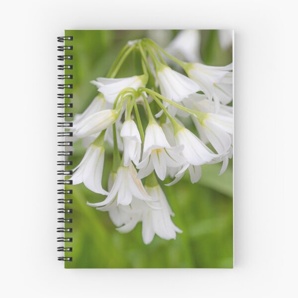 Item preview, Wild Garlic Flowers designed and sold by Dave Hare Photography.