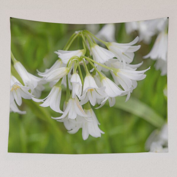 Item preview, Wild Garlic Flowers designed and sold by Dave Hare Photography.