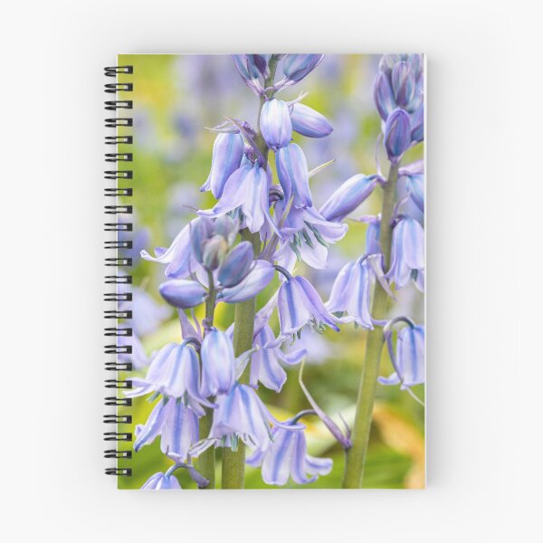 Item preview, Woodland Bluebells designed and sold by Dave Hare Photography.