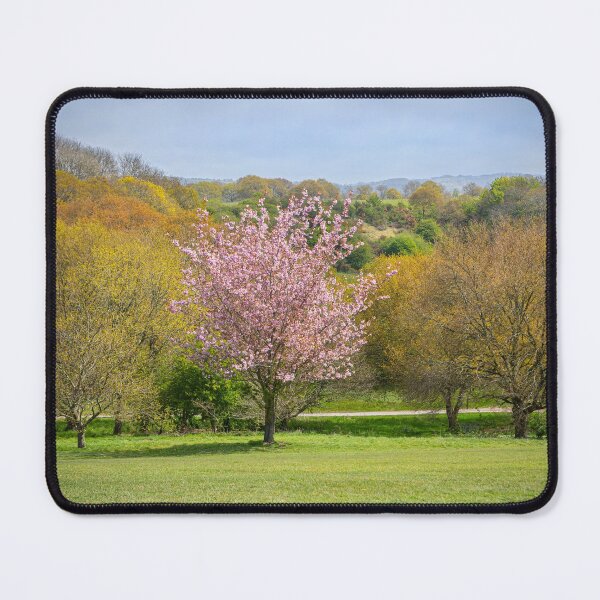 Item preview, Tree with pink blossom designed and sold by Dave Hare Photography.
