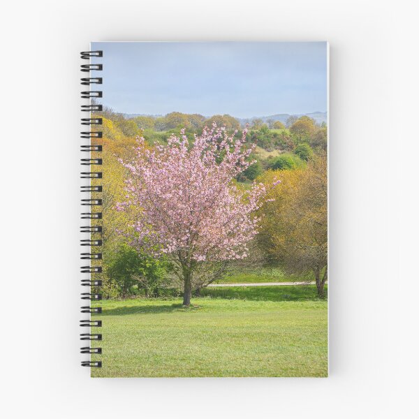 Item preview, Tree with pink blossom designed and sold by Dave Hare Photography.