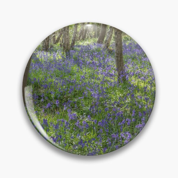 Item preview, Seabrook Bluebells designed and sold by Dave Hare Photography.
