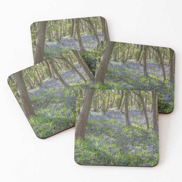 Item preview, Seabrook Bluebells designed and sold by Dave Hare Photography.